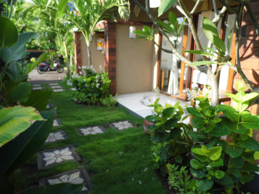 Made Taro - Menjangan Homestay Banyuwedang Екстер'єр фото